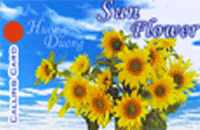 Sun Flower Phonecard